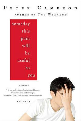 Someday This Pain Will Be Useful to You -  (Cameron Peter)(Paperback)