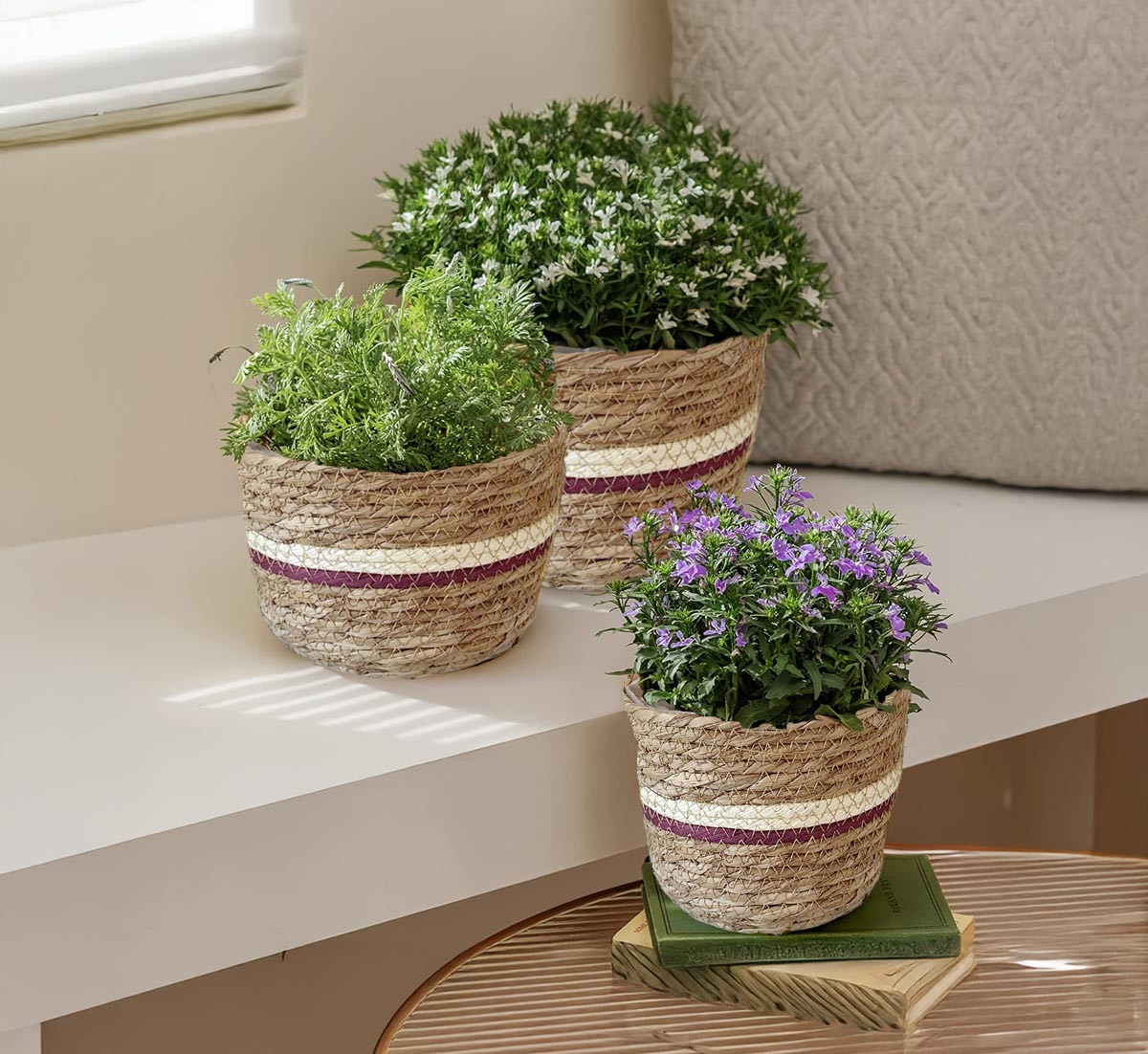 Weltbild Obal na květináč z mořské trávy, fialový, sada 3 ks