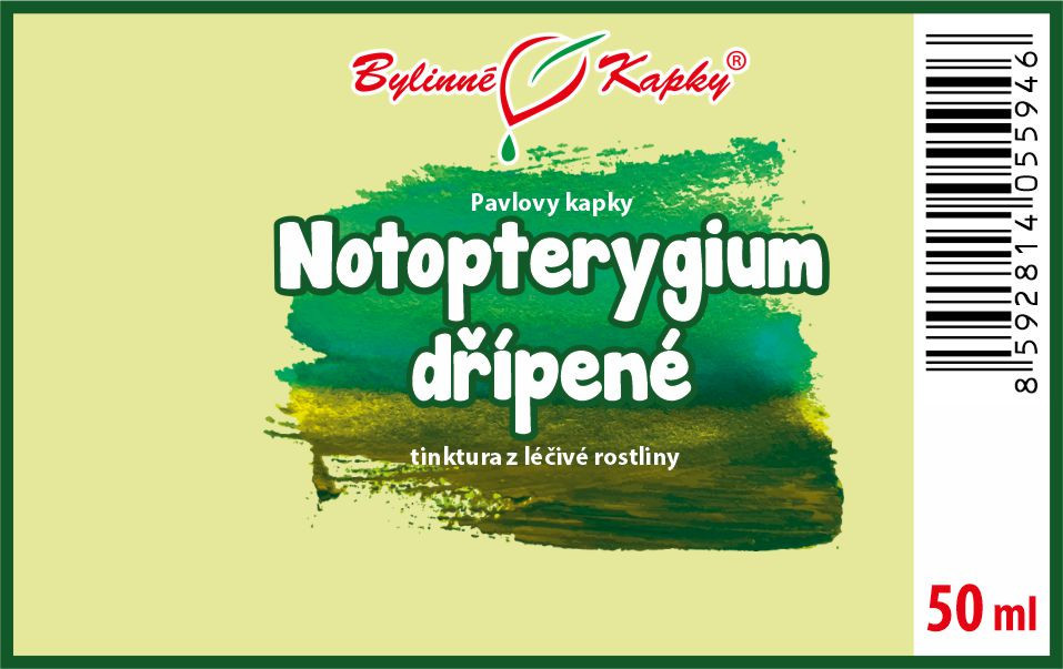 Notopterygium (TCM) - Pavlovy bylinné kapky (tinktura) 50 ml