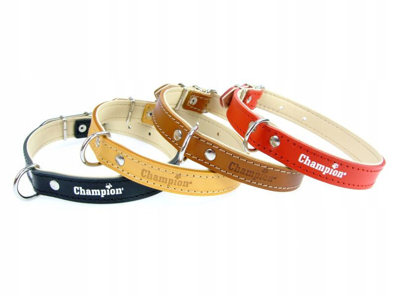 Kožený obojek 100% podšitý kůží Champion 45