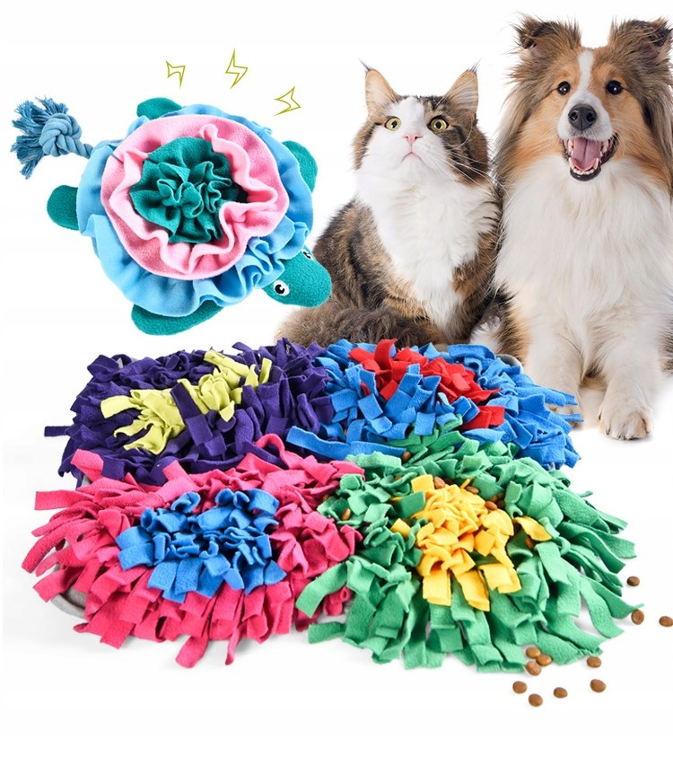 Čmuchací kobereček a želva