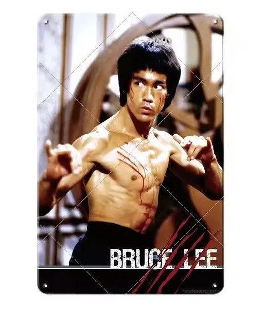 Plechová cedule na stěnu Bruce Lee