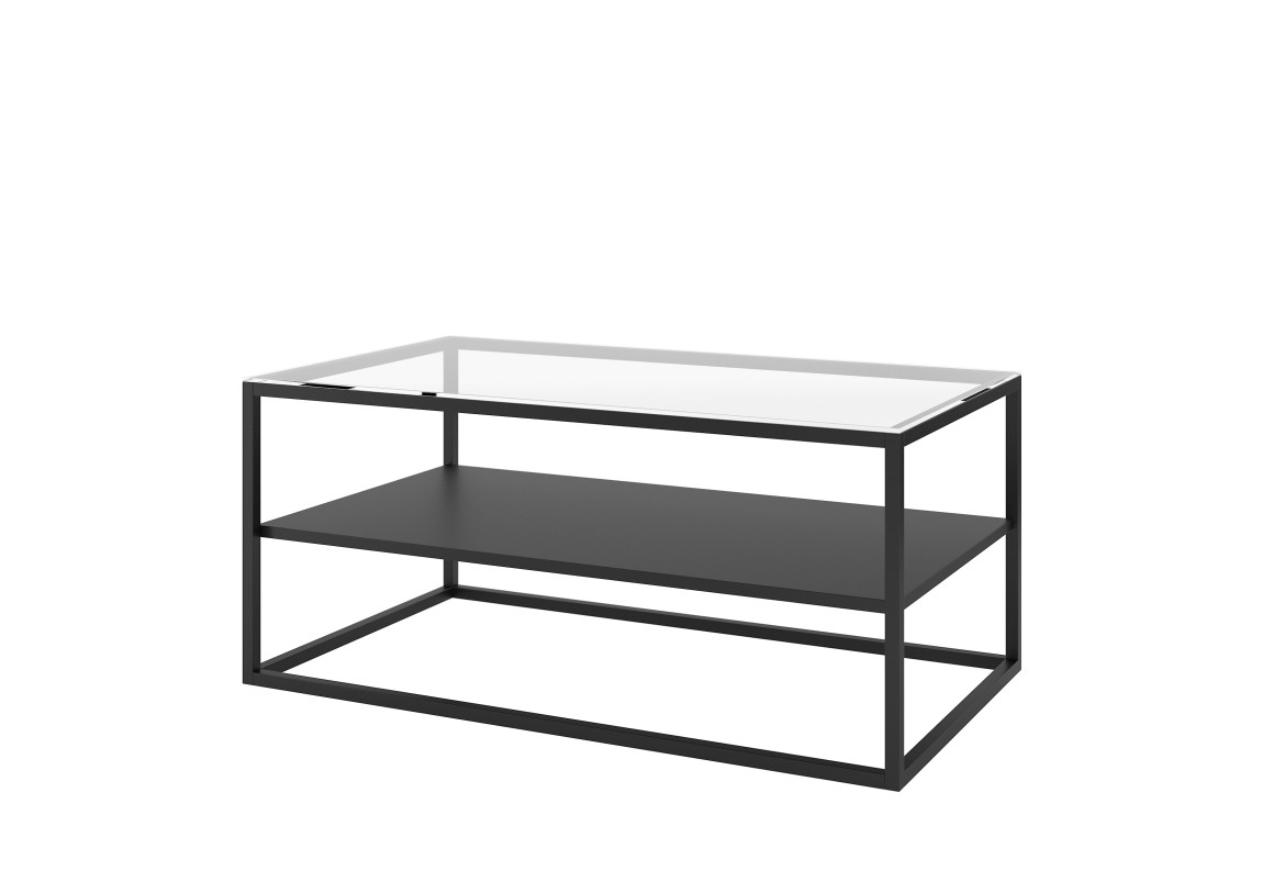 Konferenční stolek LOBOPHYLLIA s policí, sklo/černá