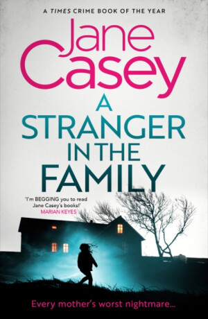A Stranger in the Family - Jane Casey