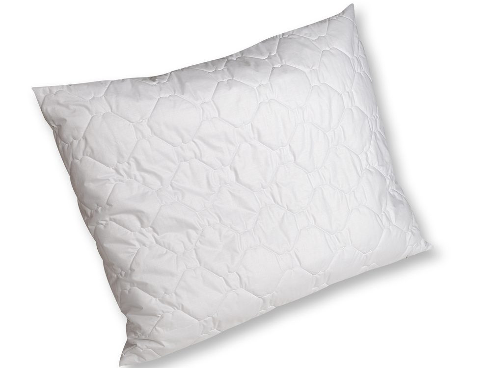 2G Lipov Polštář Clivie+ 95°C vyvařovací - 50x60 cm