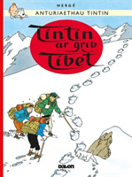 Tintin: Tintin ar Grib Tibet -  (Herge Dafydd)(Paperback / softback)