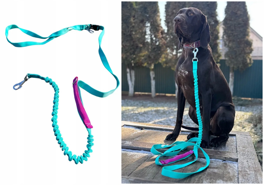 Vodítko pro psa s tlumičem Zkrácená s rukojetí 280 cm Máta AMOhand Zepnij