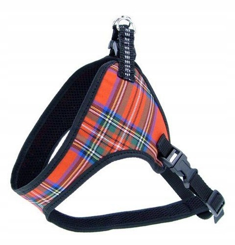 Champion Pásek 40 komfort [tsz]