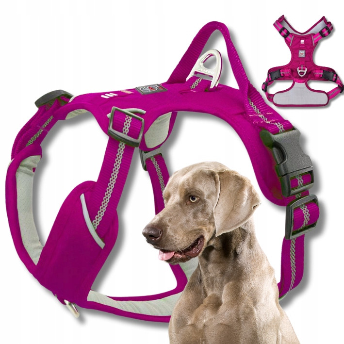 Silné Popruhy Guard pro velkého psa Adventure pohodlné Premium purple XL