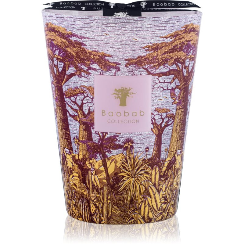 Baobab Collection Sacred Trees Massasso vonná svíčka 24 cm