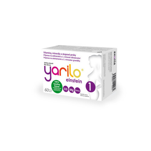 YARILO einstein 1 tob.60