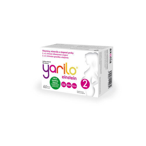 YARILO einstein 2 tob.60