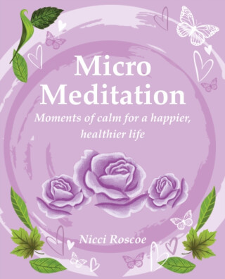 Micro Meditation - Nicci Roscoe