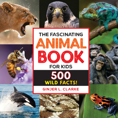 The Fascinating Animal Book for Kids: 500 Wild Facts! -  (Clarke Ginjer)(Paperback)