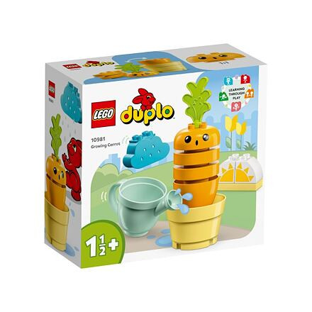 2210981 Pěstování mrkve - poškozený obal