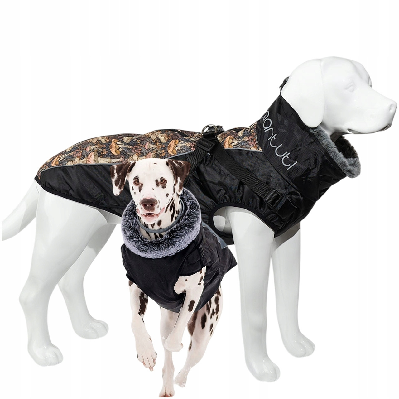 Teplá bunda pro velkého psa Drako 4XL