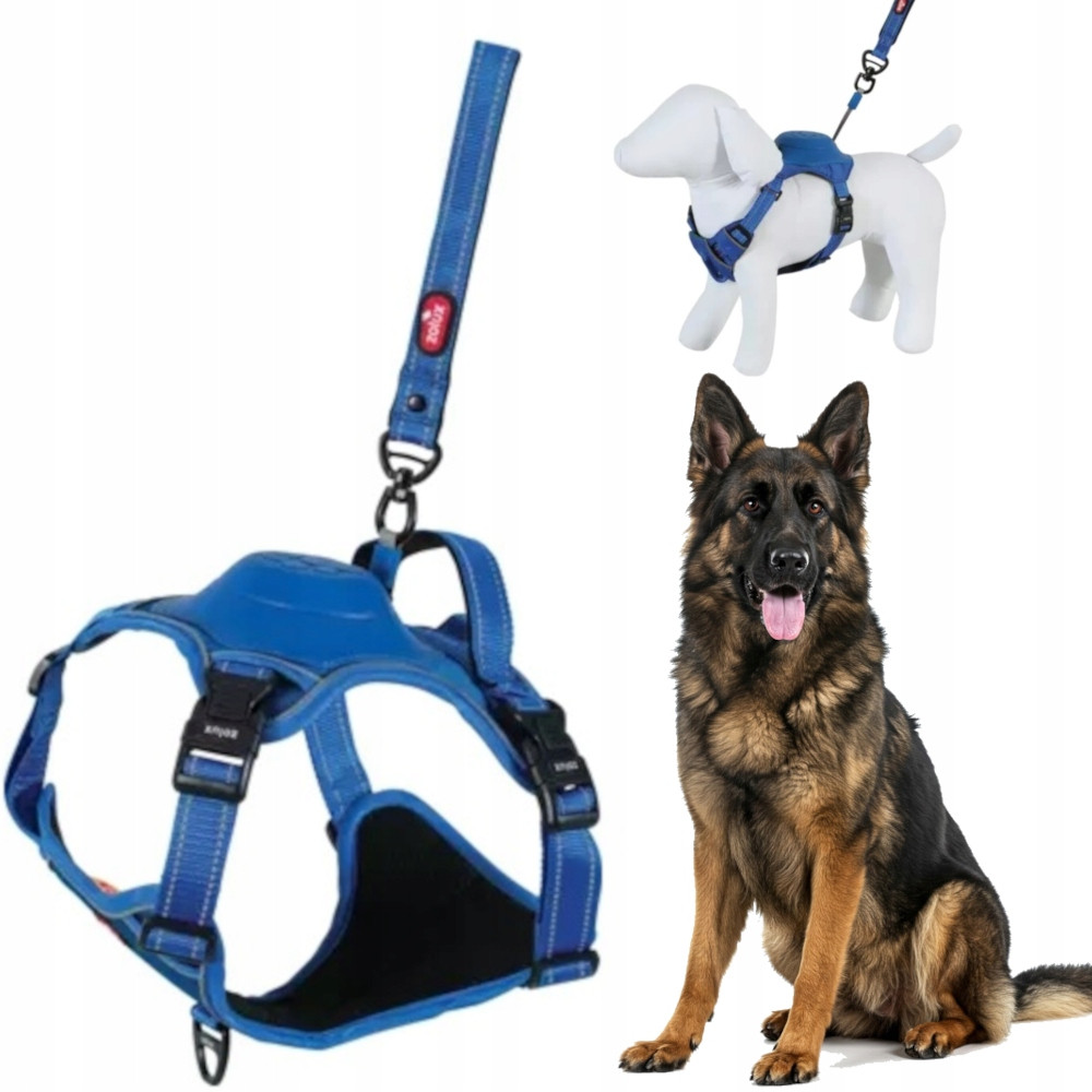 Postroj s automatickým vodítkem Easyride XL modrý