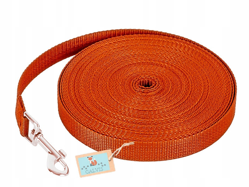 Odolná vodítko pro středního psa Oranžová 2 cm 50 metrů