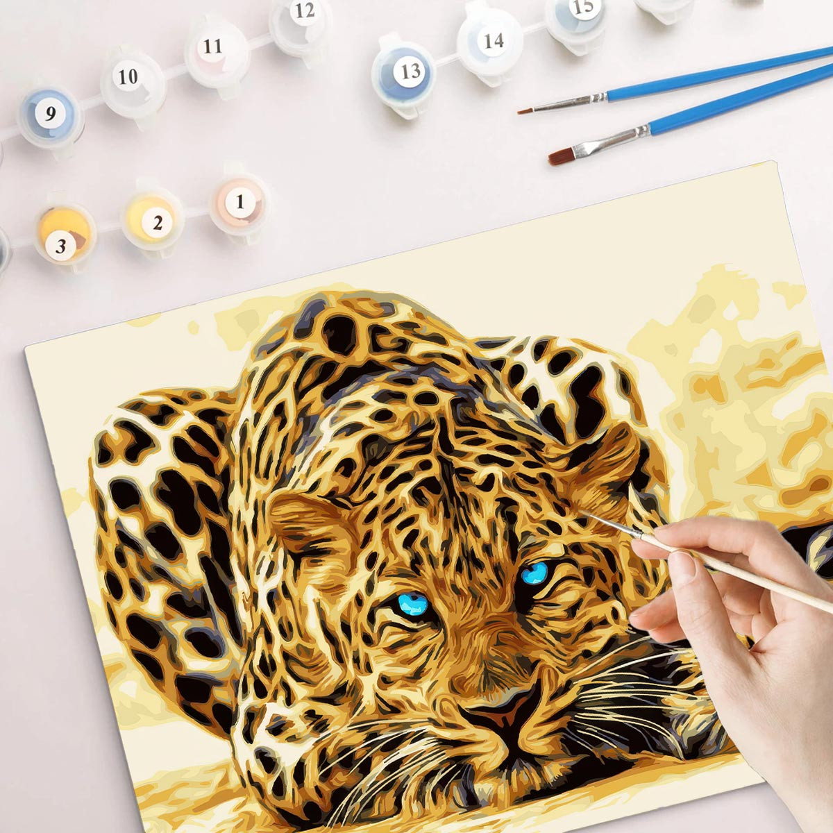 Weltbild Malování podle čísel Leopard