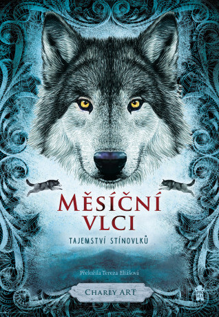 Tajemství stínovlků - Charly Art - e-kniha
