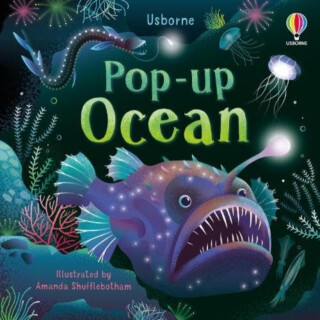 Pop-up Ocean - Cope Lizzie