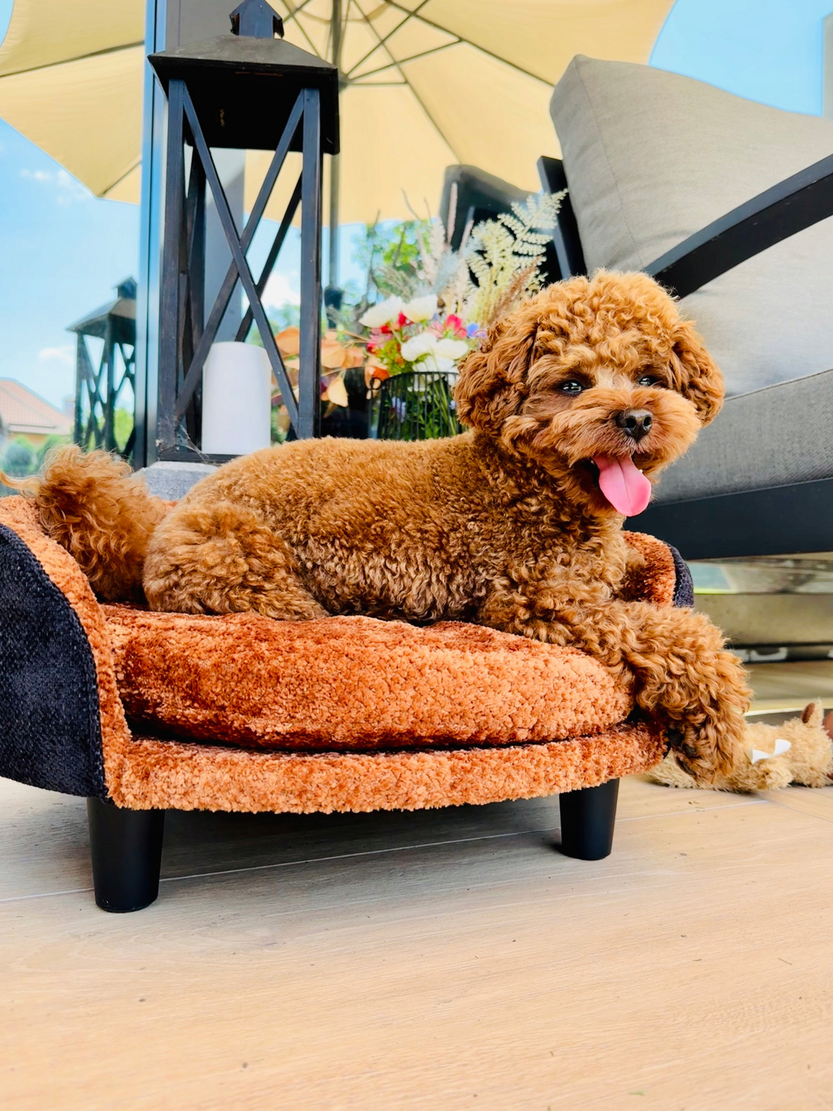 Designové pelíšek pro malá domácí zvířata pelíšek pro psa