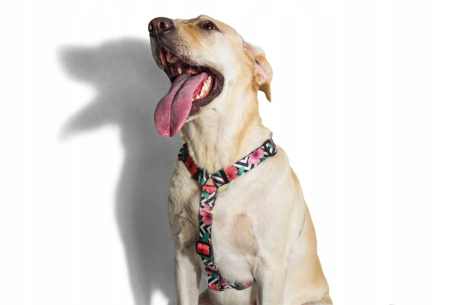 Postroj Zee Dog Mahalo Xs