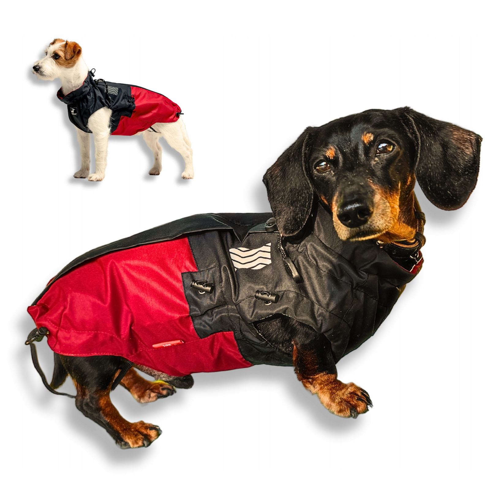 Nepromokavá bunda do deště, oblečení pro jezevčíka Corgi 2XL