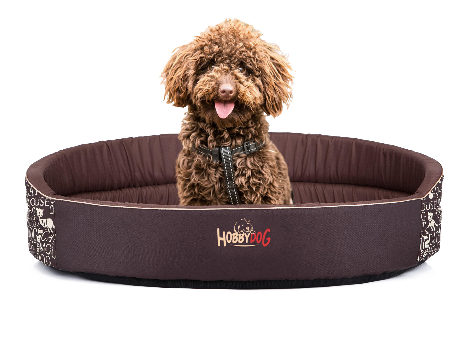 pelíšek Pěnové, postel kotec pro psa, R1 42x30