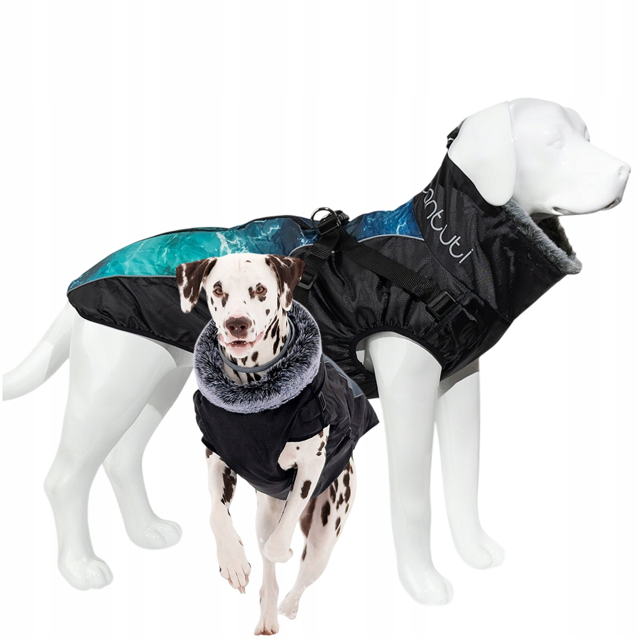 Teplá bunda pro velkého psa Regnar 4XL