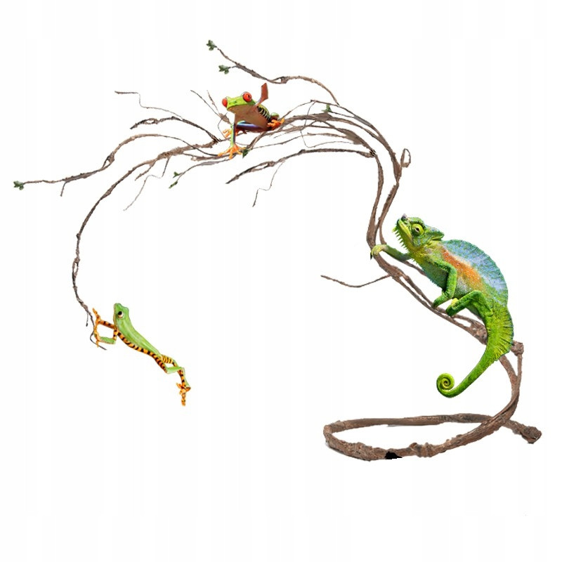 Liána Do Terária S Listy, Dekorace, Dekorace, Dekorace Pavoučích Plazů 150 CM