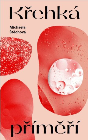 Křehká příměří - Michaela Štěchová - e-kniha