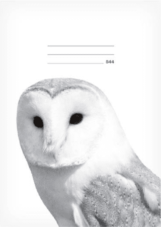 Školní sešit LUX A5 544 Sova