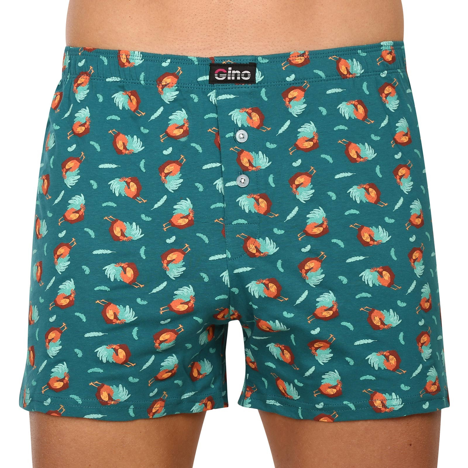 Pánské trenky Gino zelené (75182) M, trenýrky