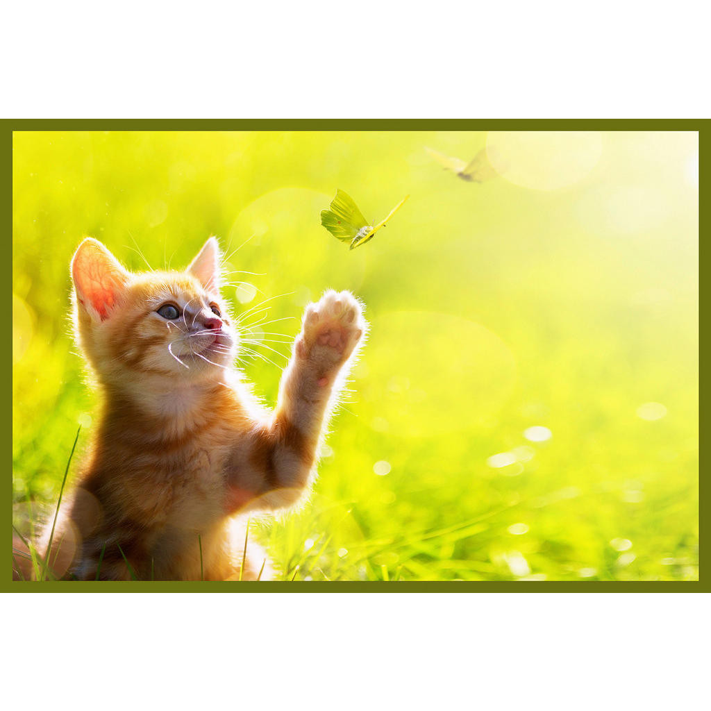 Esposa DVEŘNÍ ROHOŽKA, 60/80 cm