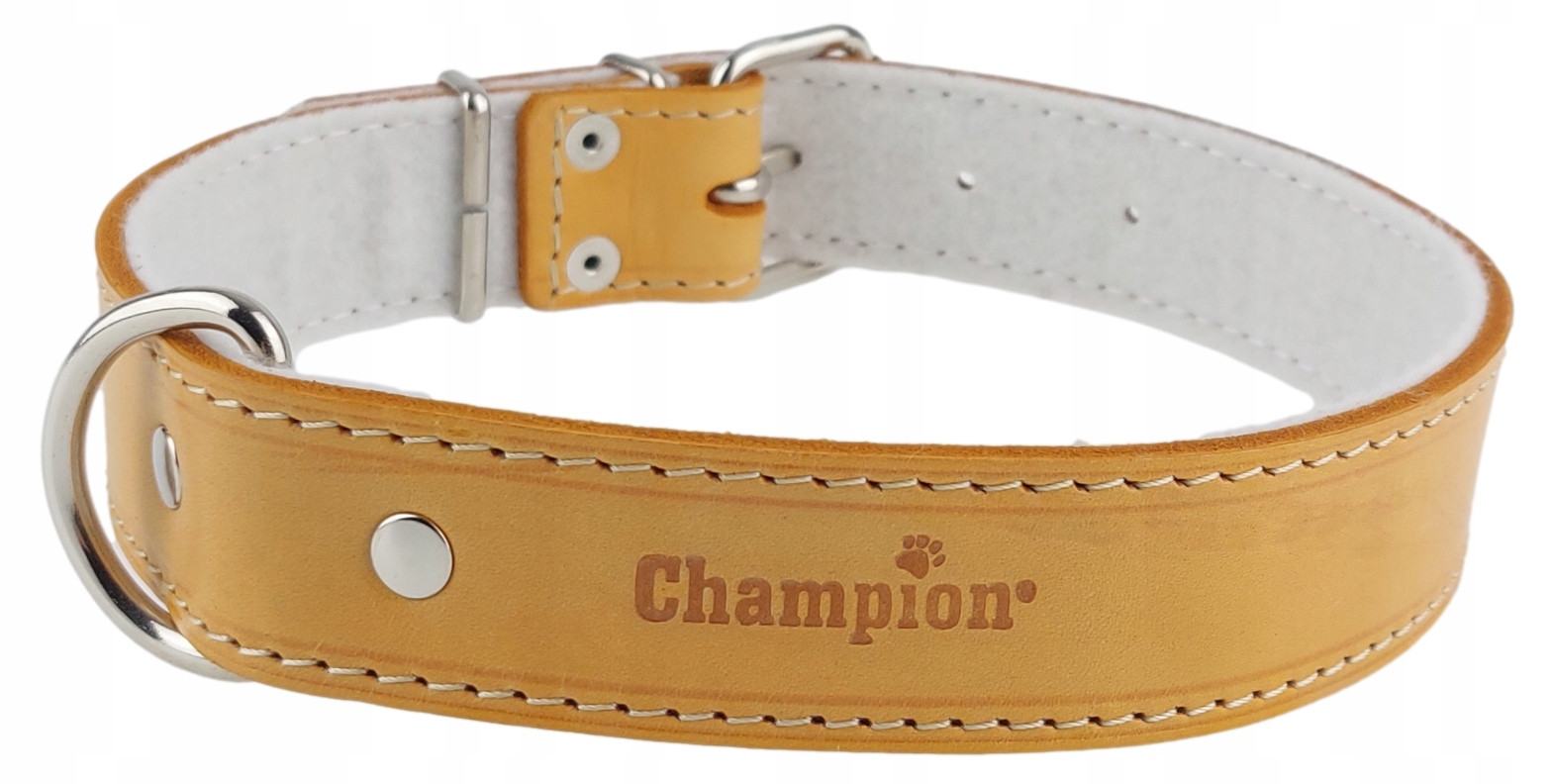 Polský výrobce Champion Přírodní obojek Lícová kůže 65 cm/3,5 cm Orange