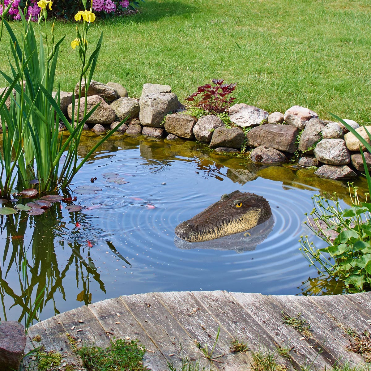 Die moderne Hausfrau Dekorace do jezírka Krokodýl