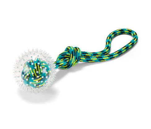 Tchibo - Házecí hračka pro psy - barva: modrá