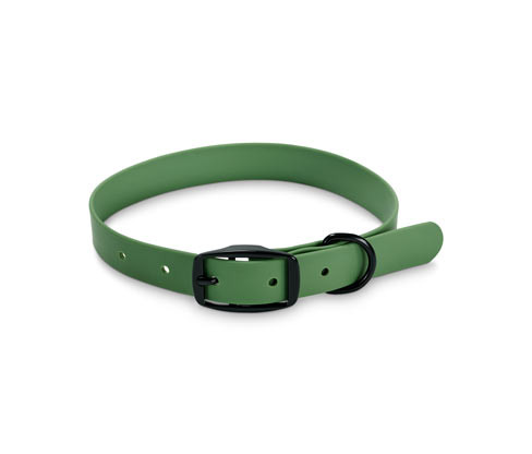 Tchibo - Obojek pro psy - barva: zelená
