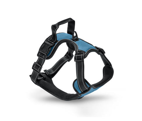 Tchibo - Postroj pro psy - barva: modrá