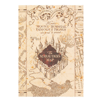 Harry Potter puzzle magnetické Pobertův plánek