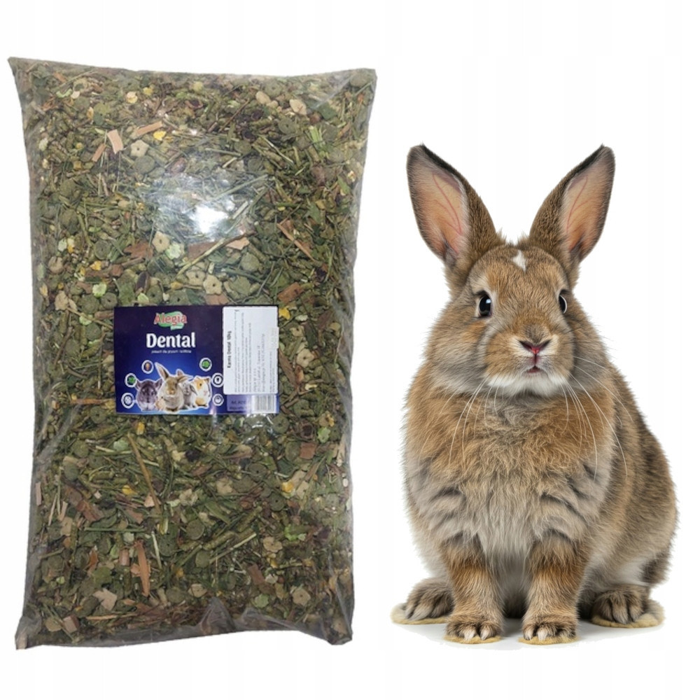 Alegia Dental Krmivo pro králíky a hlodavce 10 kg