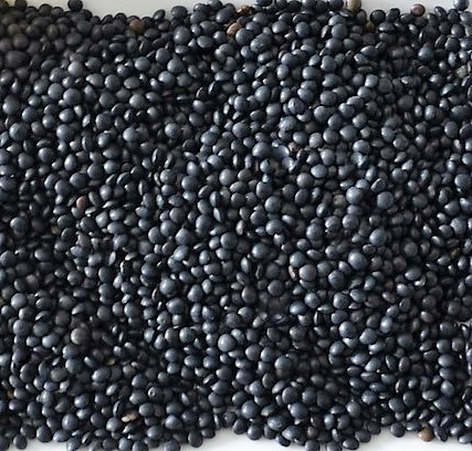 Čočka černá Beluga 5 kg