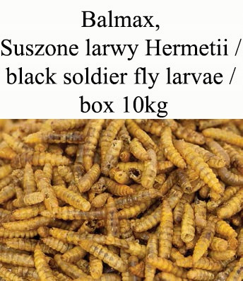 Balmax, Black soldier fly larvae, Hermetia, larvy mouchy černá, 10kg