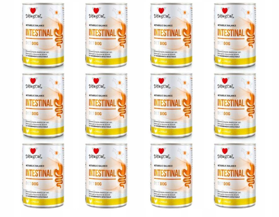 Disugual Psi Krmivo Vlhké Veterinární Intestinal Střeva Kuře 12x400g