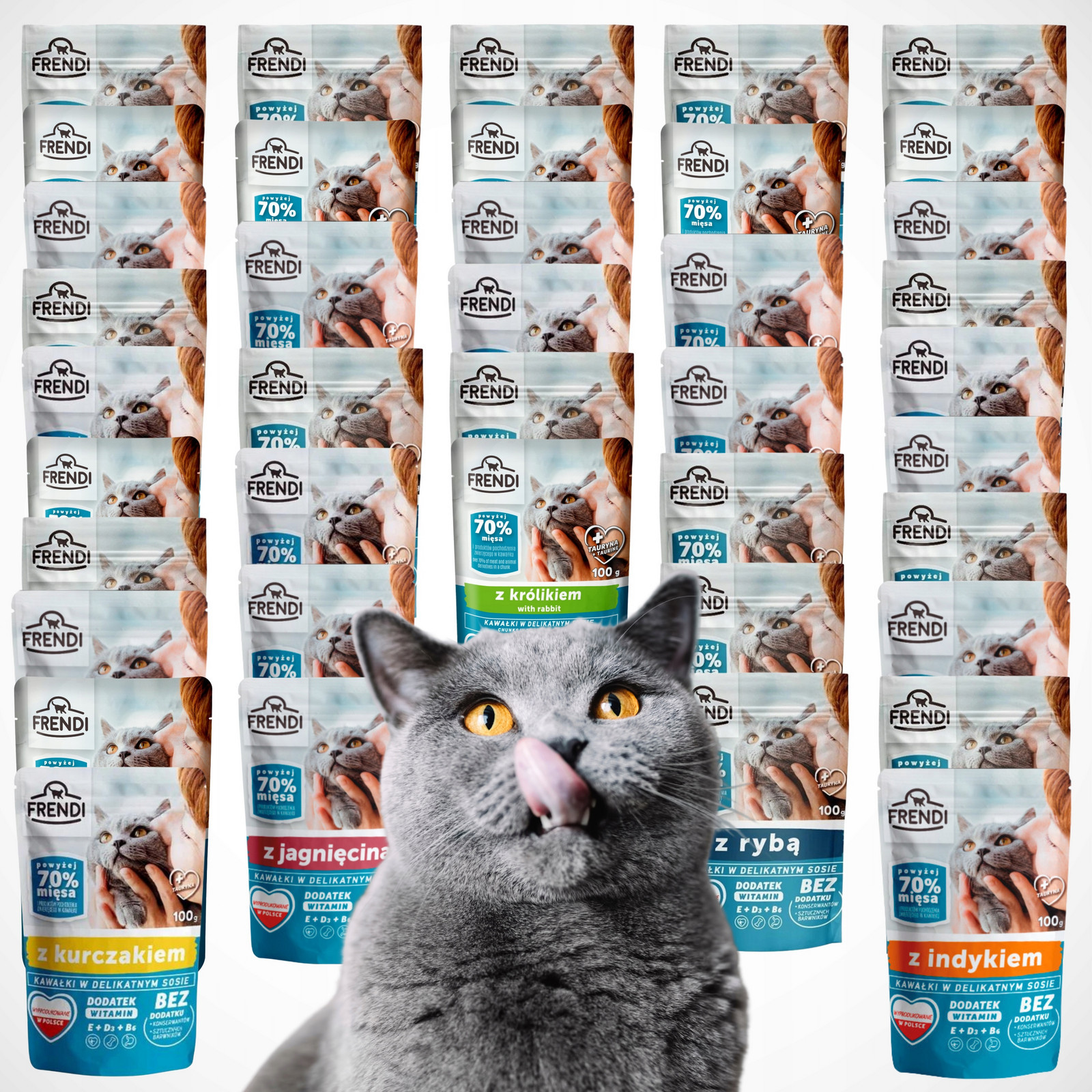 Krmivo mokré pro kočky kompletní Pet Republic Mix Chutí 40ks x 100g