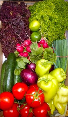 Farma z Rohoznice Bedýnka Salátová