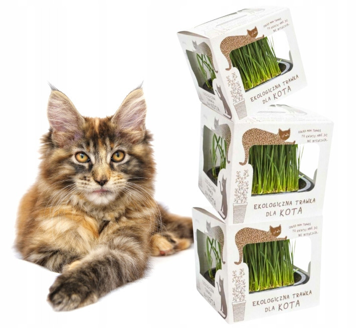 Kot w Butach Velká vyrostlá ekologická tráva pro kočky L 3 ks Set