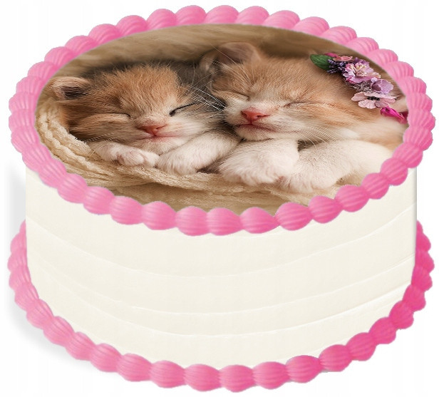 oplatek na dort 14 cm Zvířata Kočička Kočka Narozeniny