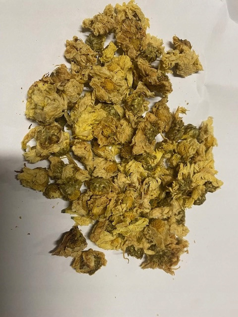 Květ sluneční chryzantémy Rafex 1 kg